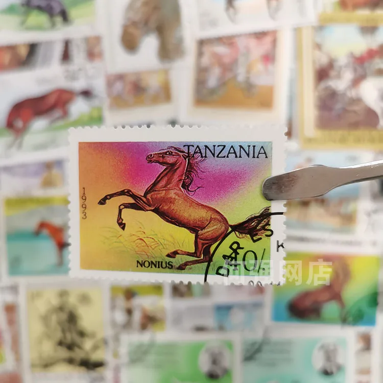 100 طوابع حصان مختلفة غير متكر - مراجعة Collectible Vintage Postage Stamps وسعره