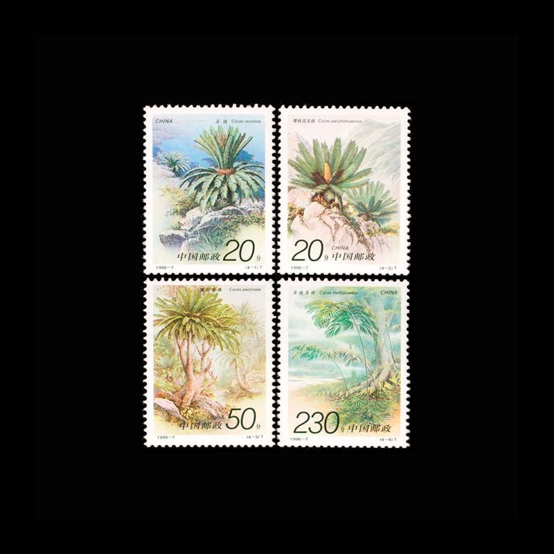 مجموعة طوابع بريدية صينية عتيق - مراجعة Vintage Collectible Stamps وسعره
